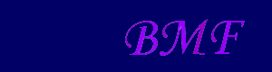 BMF -癒しのさらに上 +αをご提供-ロゴ